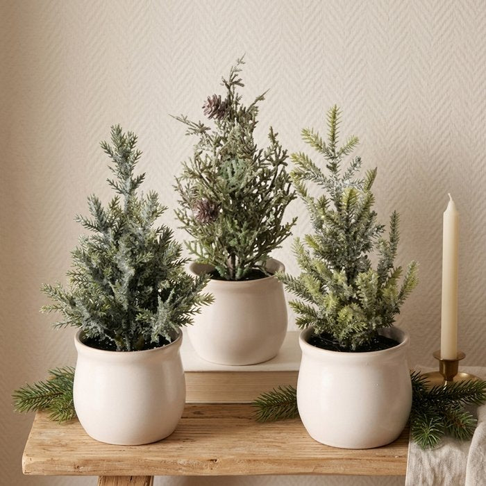 Three distinct miniature frosted pine decorations in cream ceramic pots styled together on a wooden table