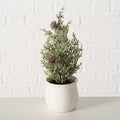 Open-branched frosted miniature pine with small pinecones in a cream ceramic pot