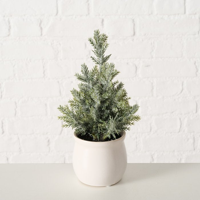 Full conical frosted miniature pine in a cream ceramic pot